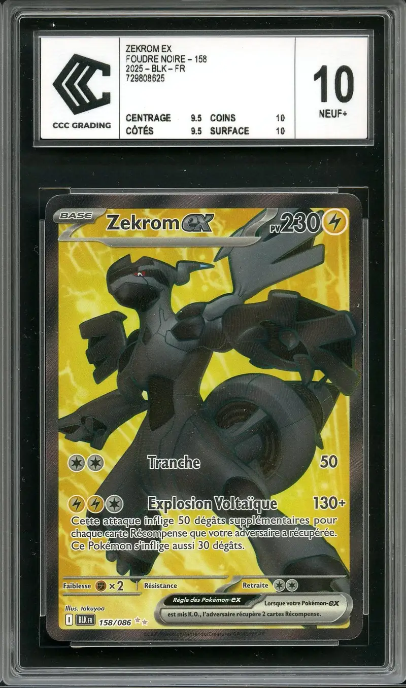 CCC 10 Zekrom Ex