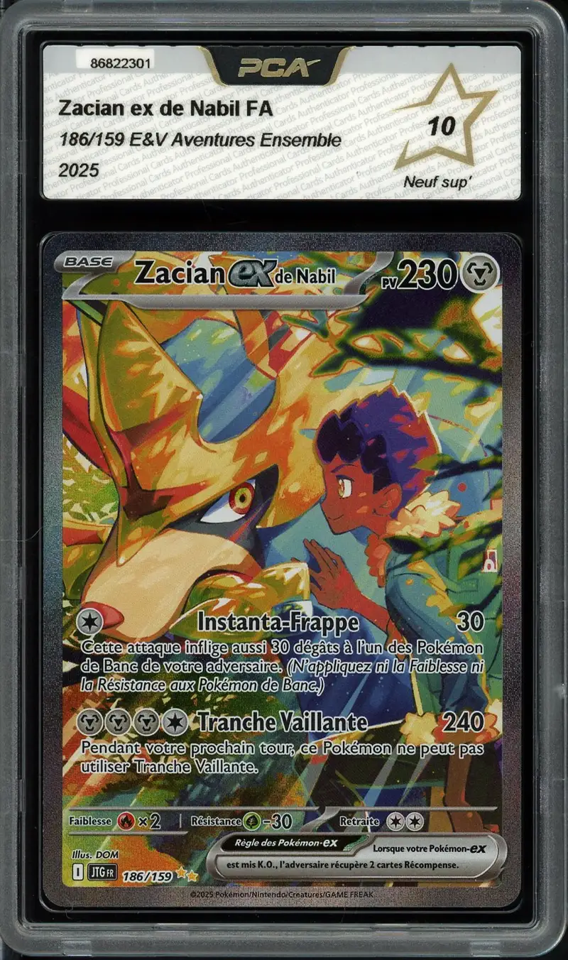 PCA 10 Zacian Ex de Nabil