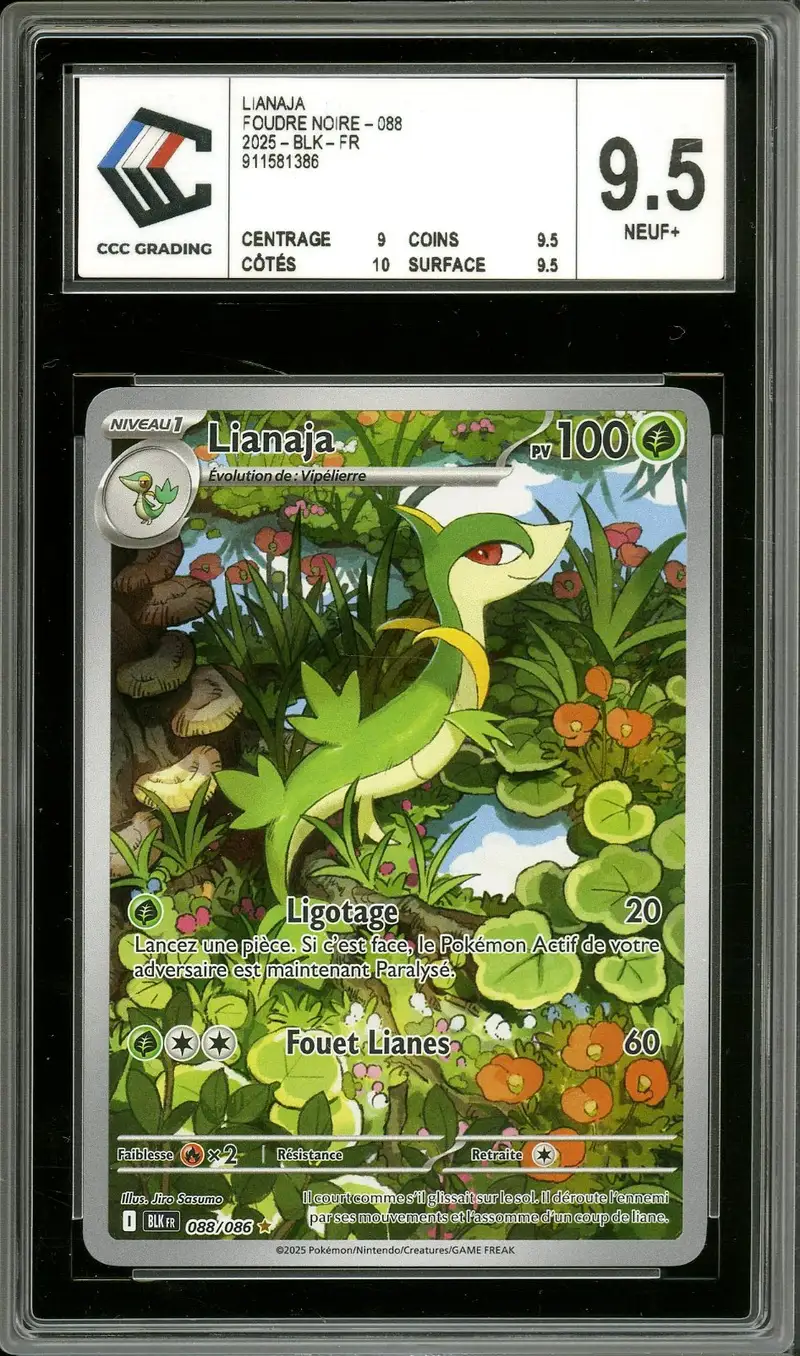CCC 9.5 Lianaja