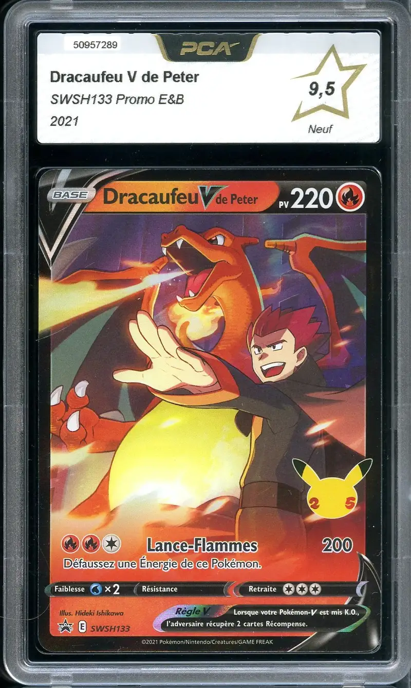 PCA 9.5 Dracaufeu V de Peter