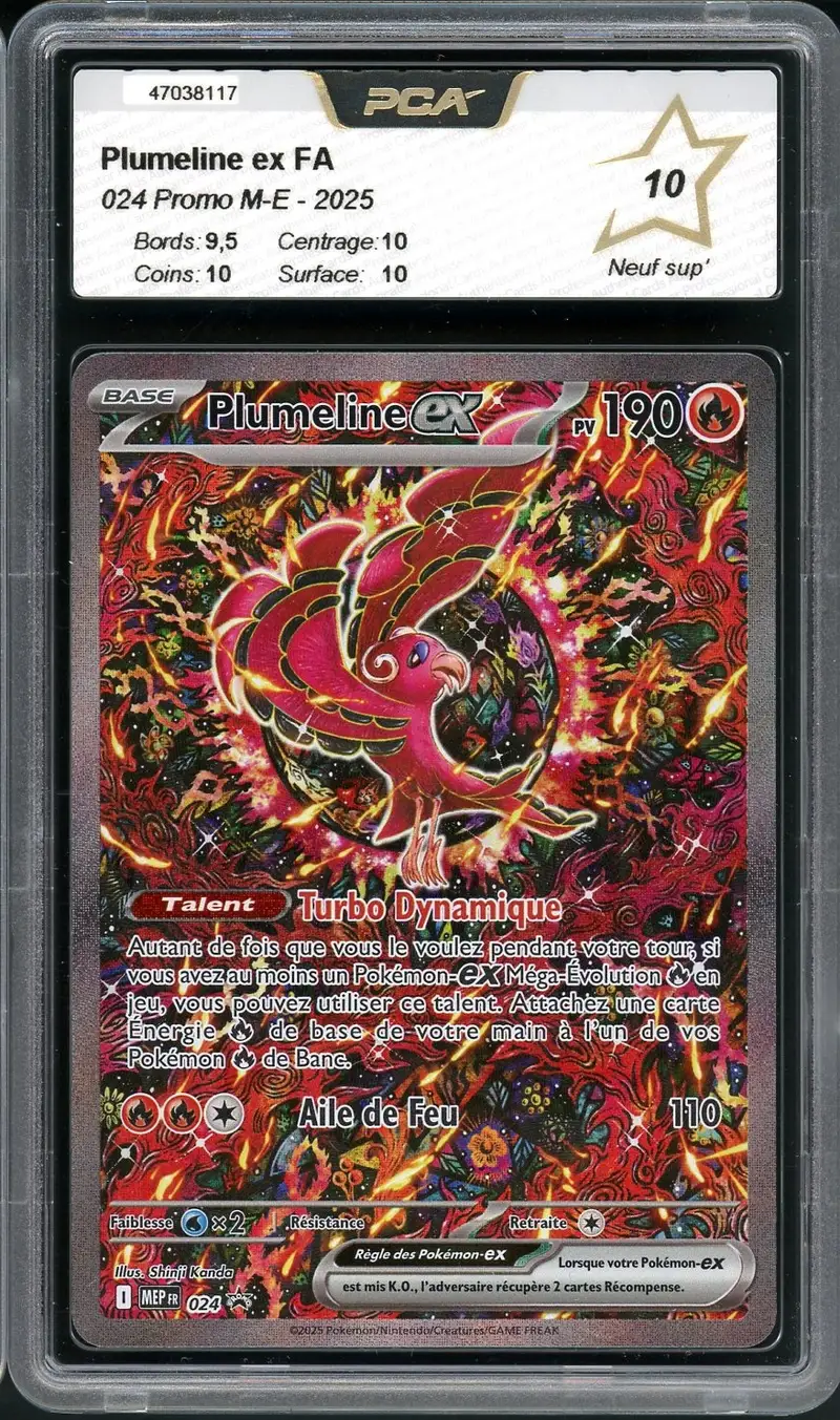 PCA 10 Plumeline Ex