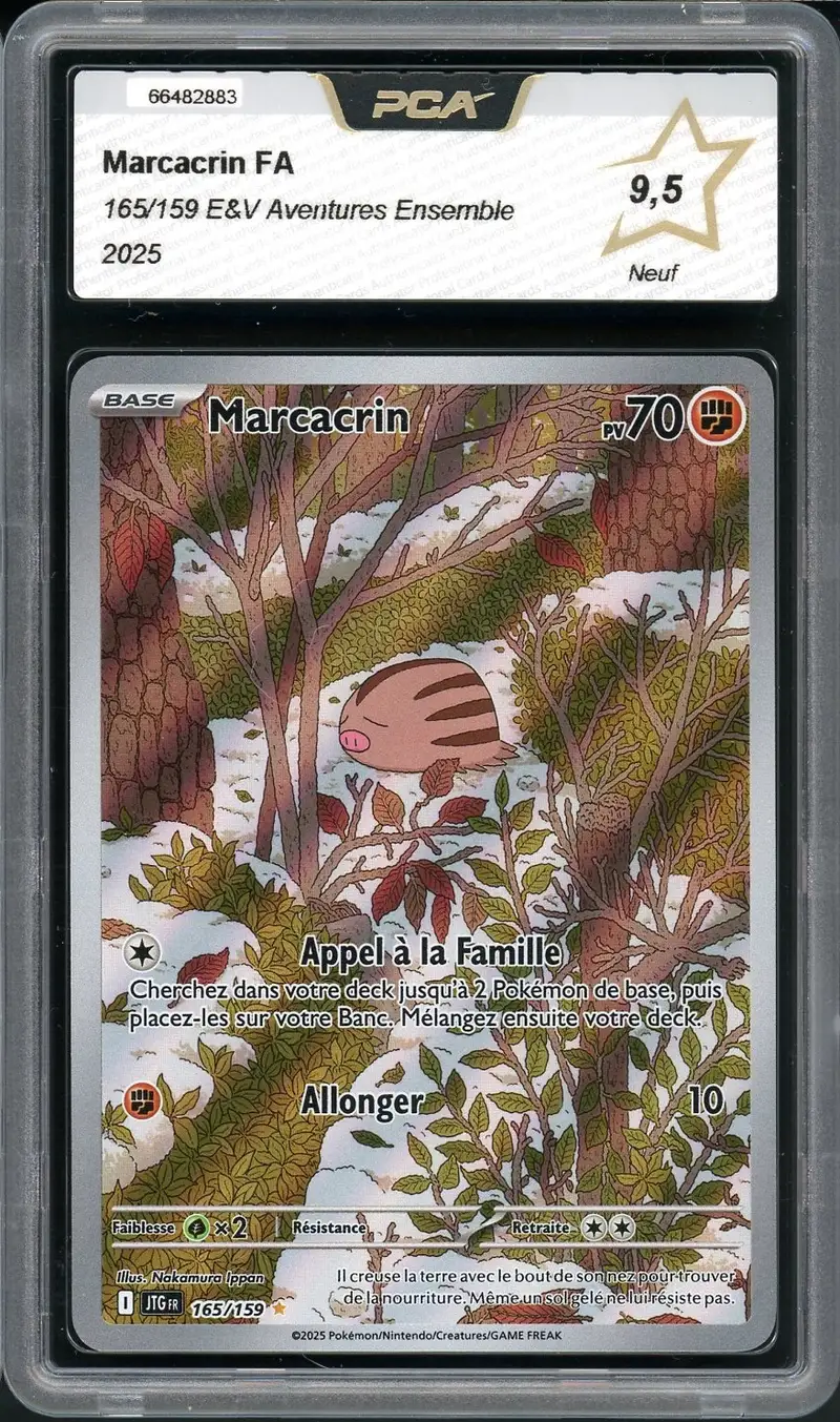 PCA 9.5 Marcacrin