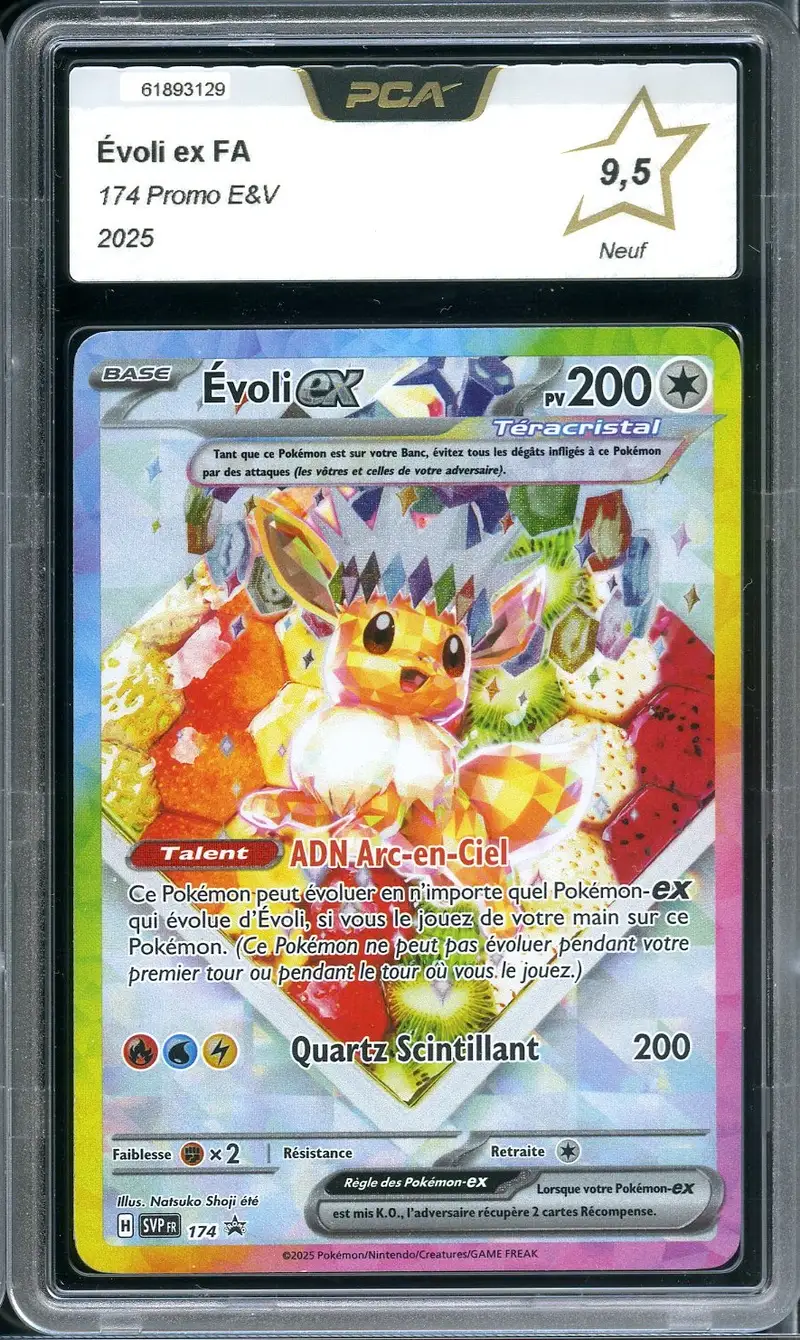 PCA 9.5 Evoli Ex