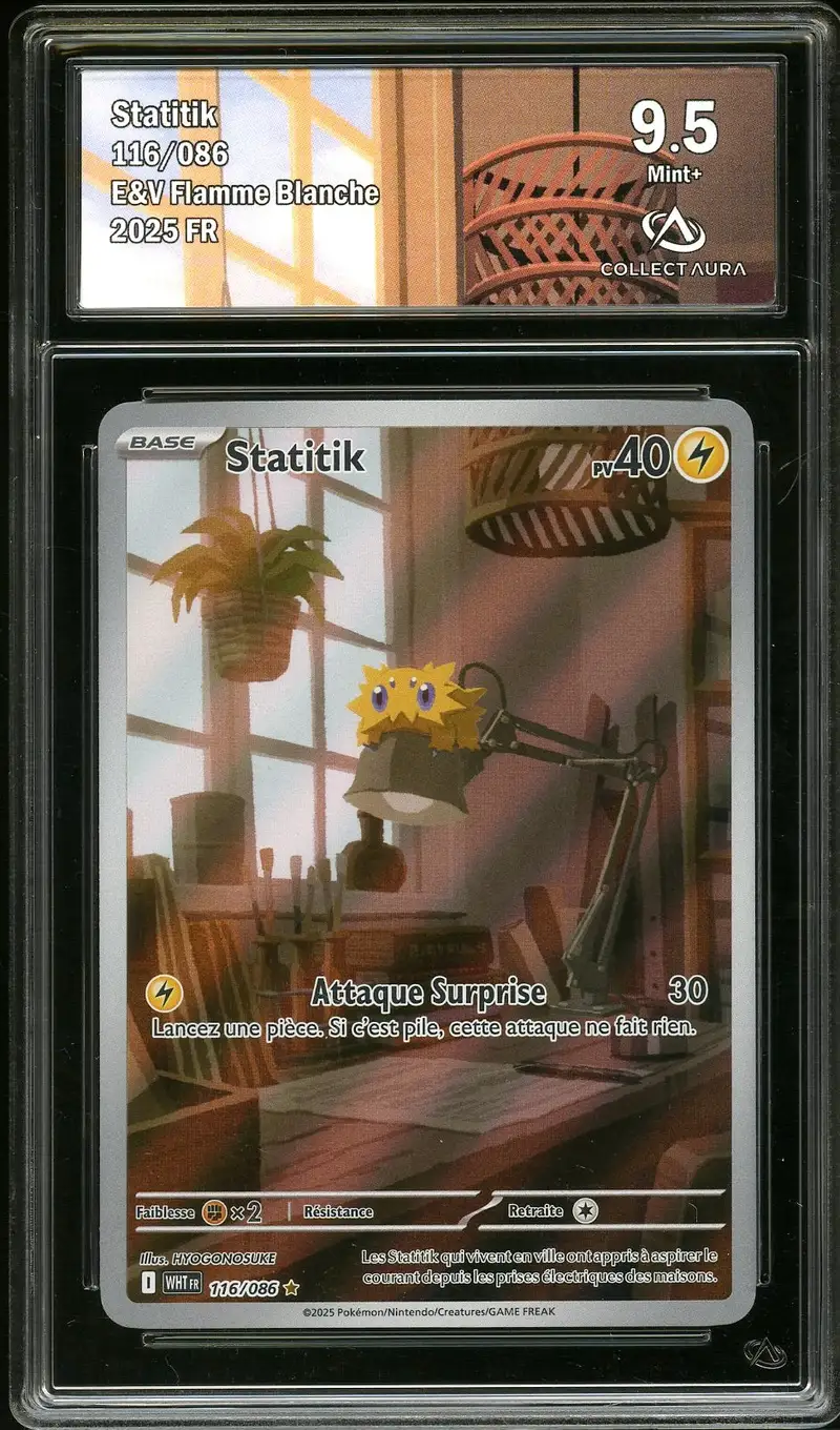 CA 9.5 Statitik