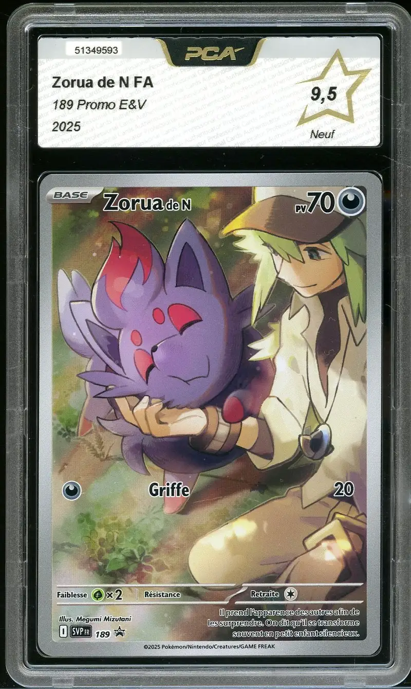 PCA 9.5 Zorua de N