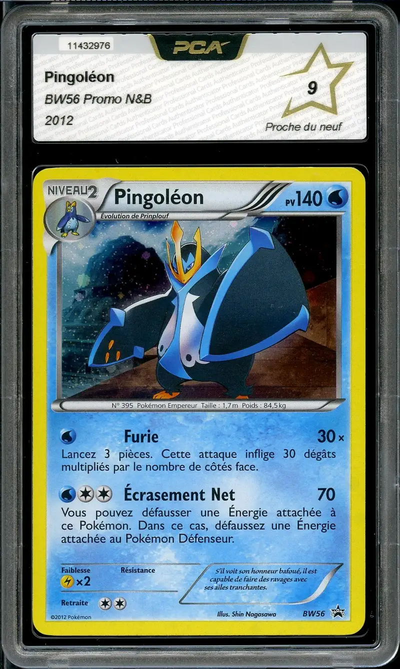 PCA 9 Pingoléon Holo