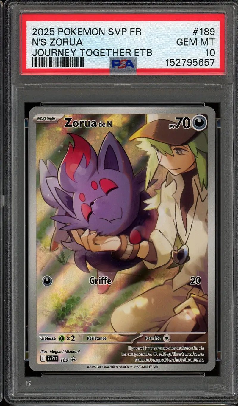 PSA 10 Zorua de N