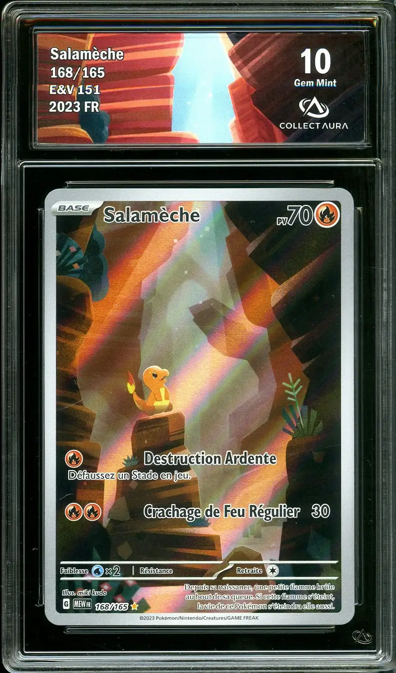 CA 10 Salamèche