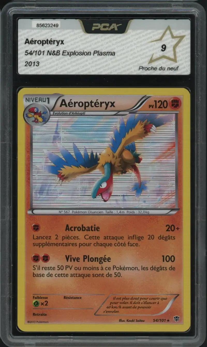 PCA 9 Aéroptéryx Holo