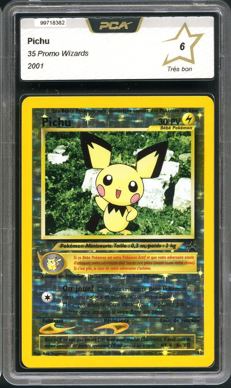 PCA 6 Pichu