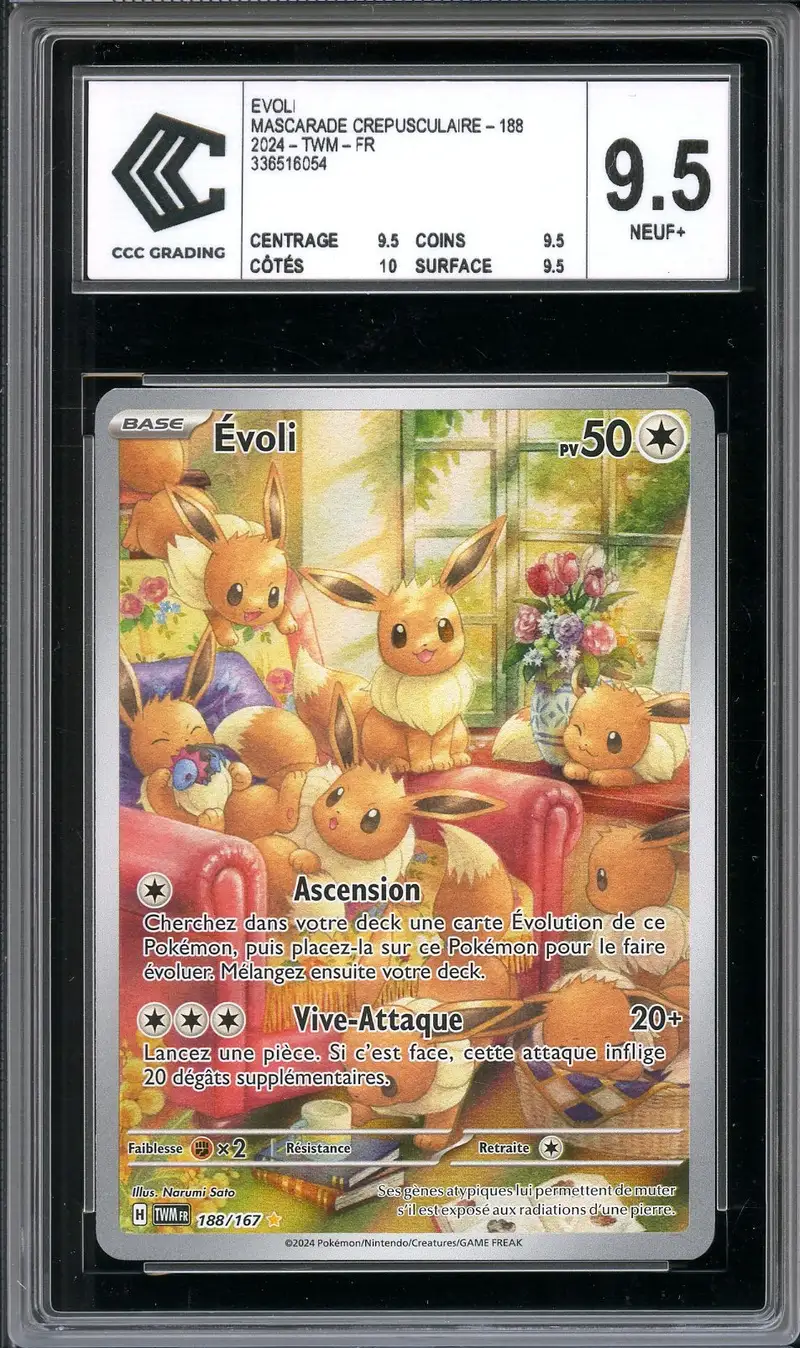 CCC 9.5 Evoli