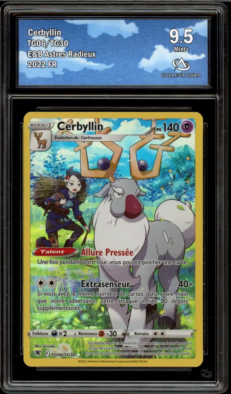 CA 9.5 Cerbyllin