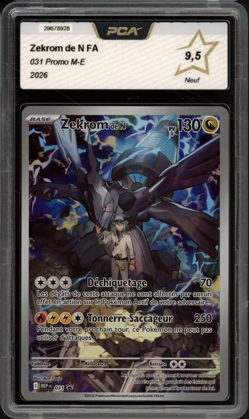 PCA 9.5 Zekrom de N