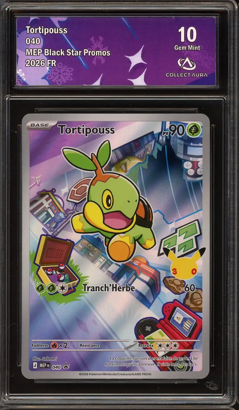 CA 10 Tortipouss