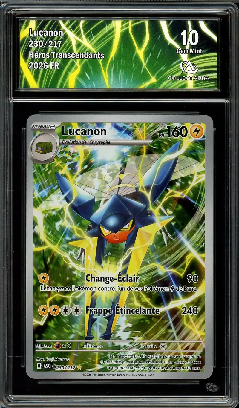 CA 10 Lucanon