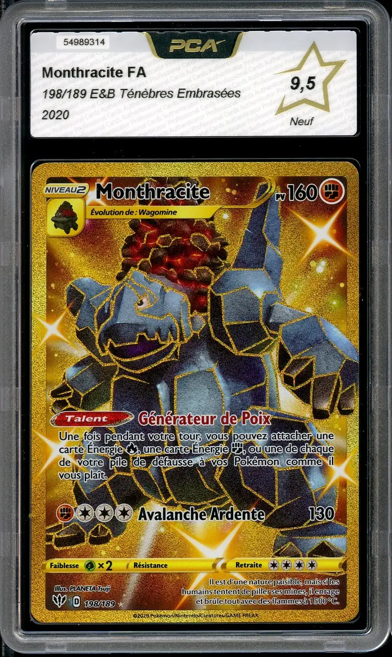 PCA 9.5 Monthracite Gold