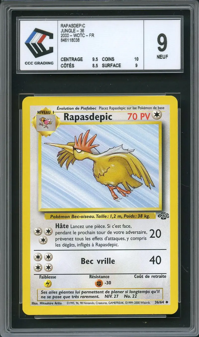 CCC 9 Rapasdepic