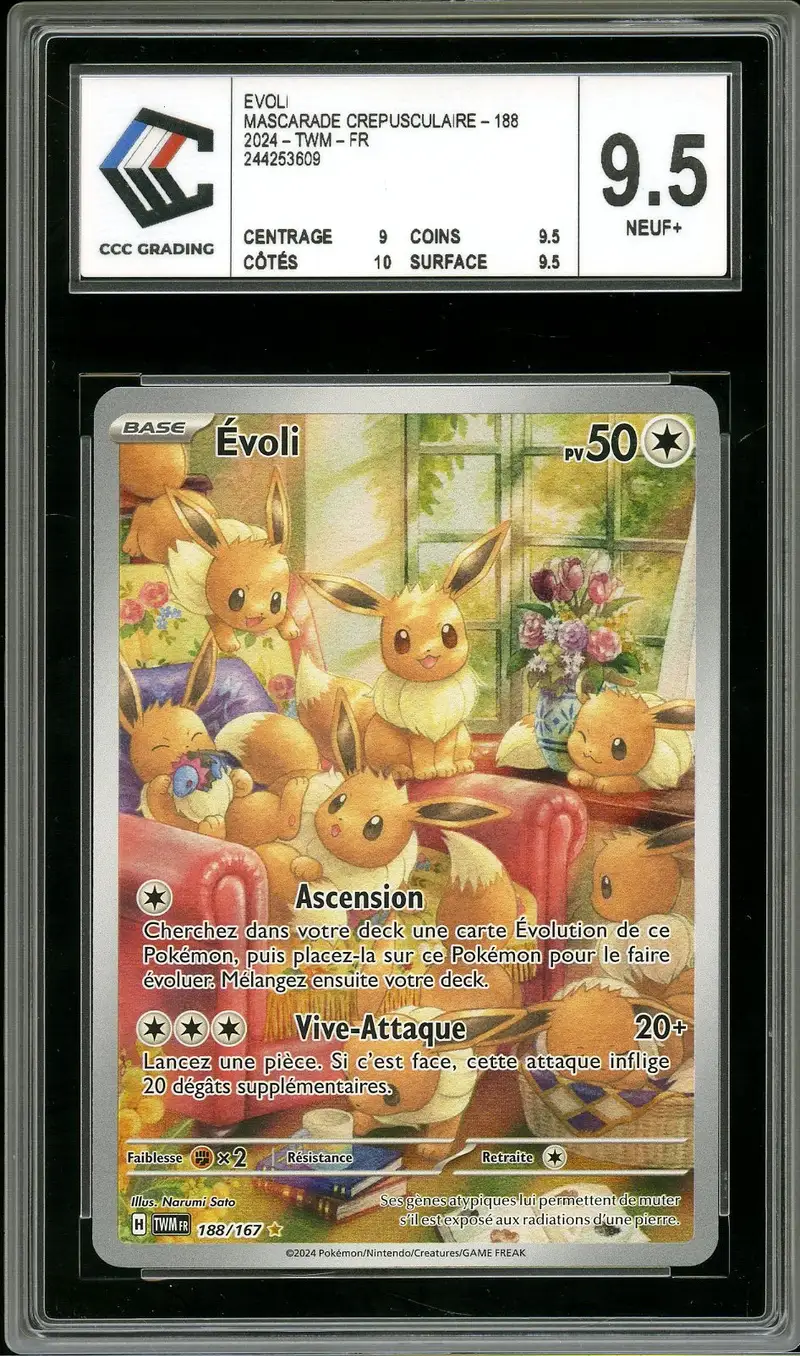 CCC 9.5 Evoli