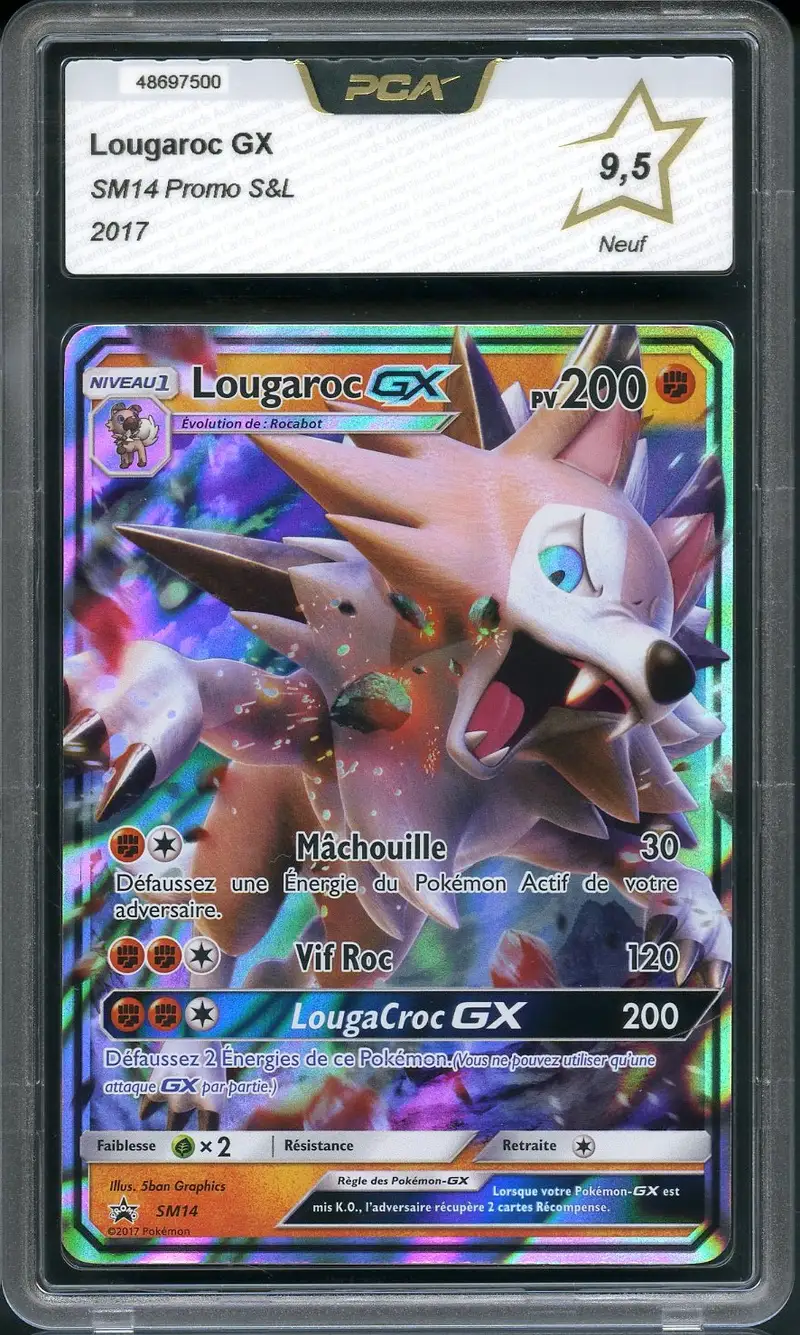 PCA 9.5 Lougaroc Gx