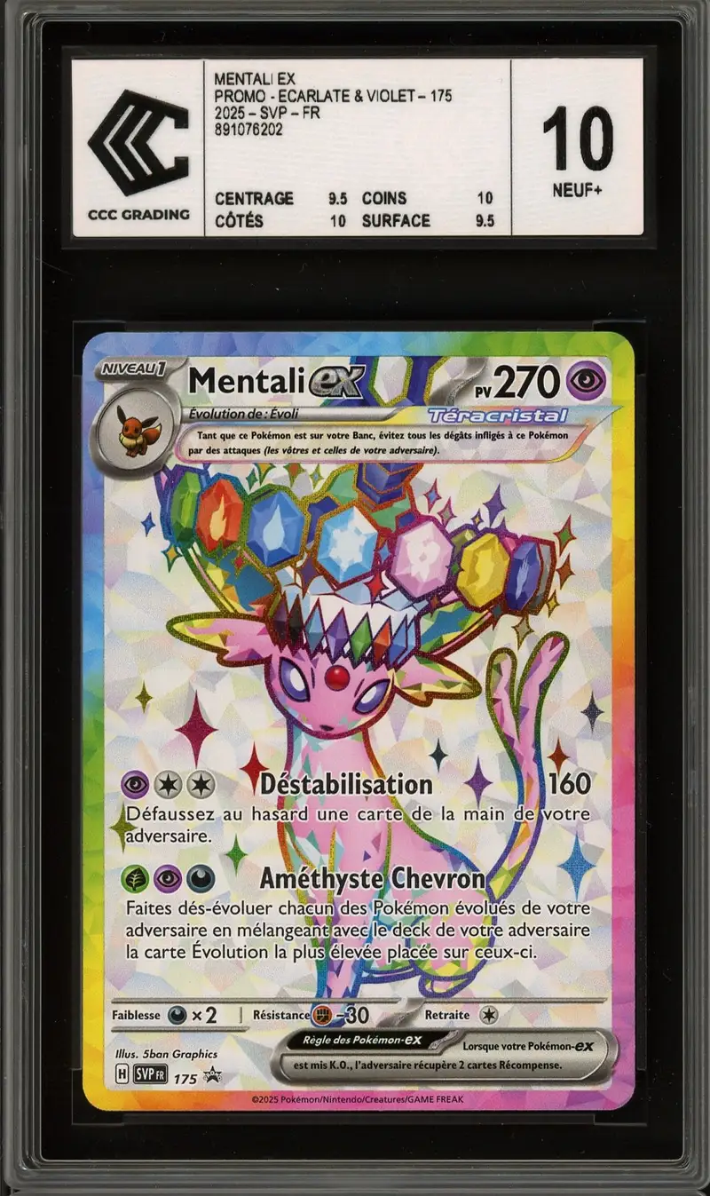 CCC 10 Mentali Ex