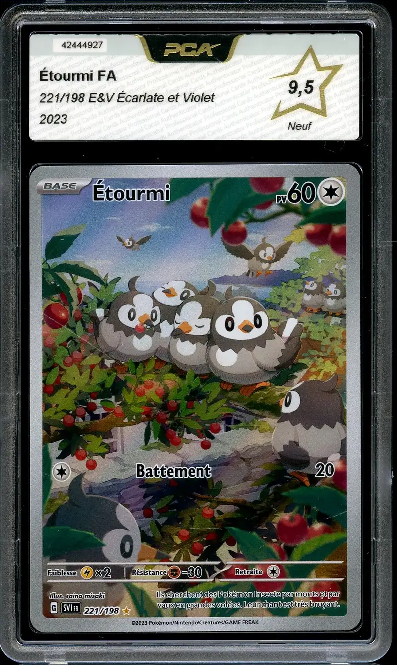 PCA 9.5 Etourmi