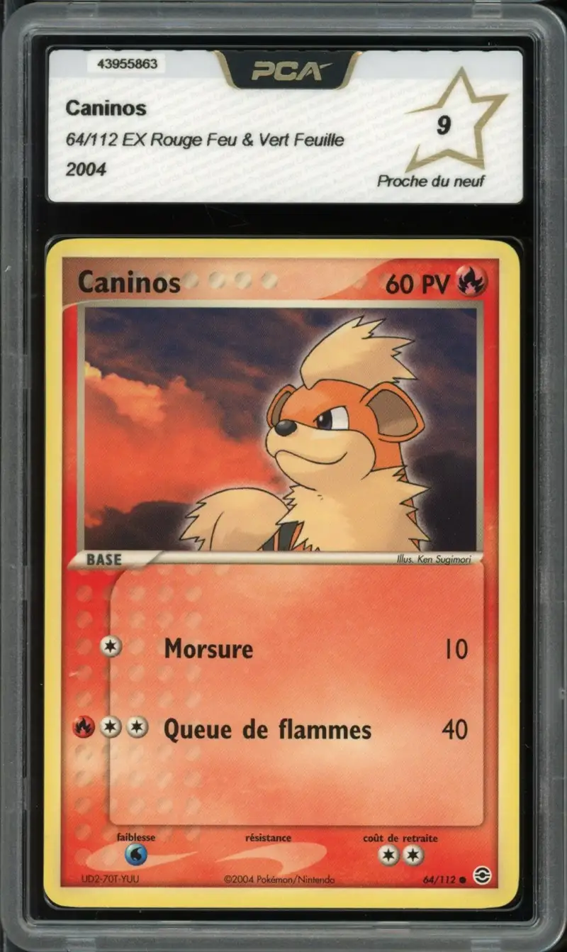 PCA 9 Caninos