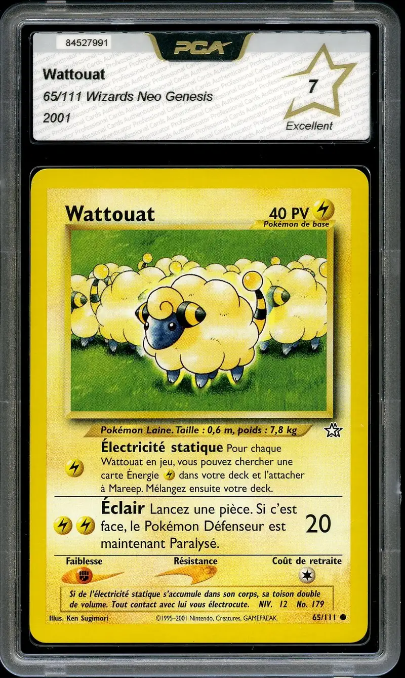 PCA 7 Wattouat