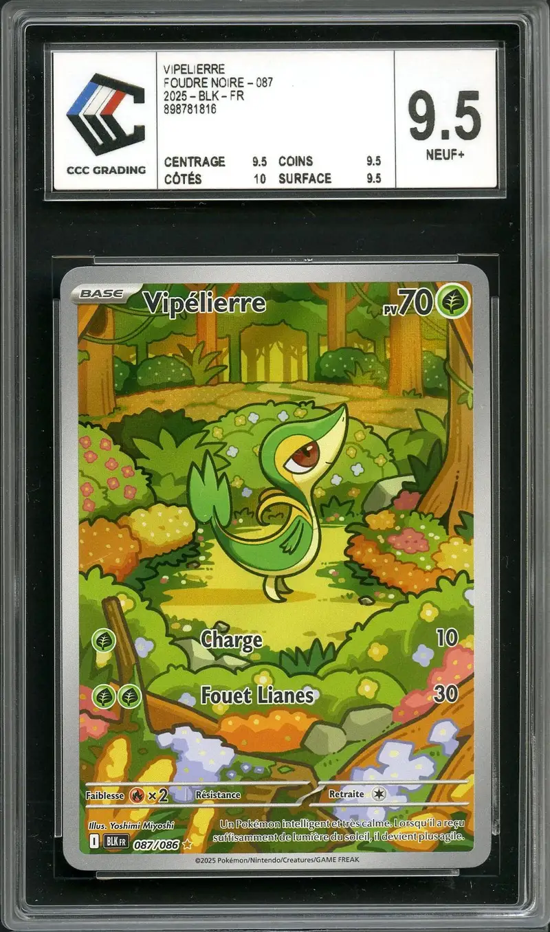 CCC 9.5 Vipélierre