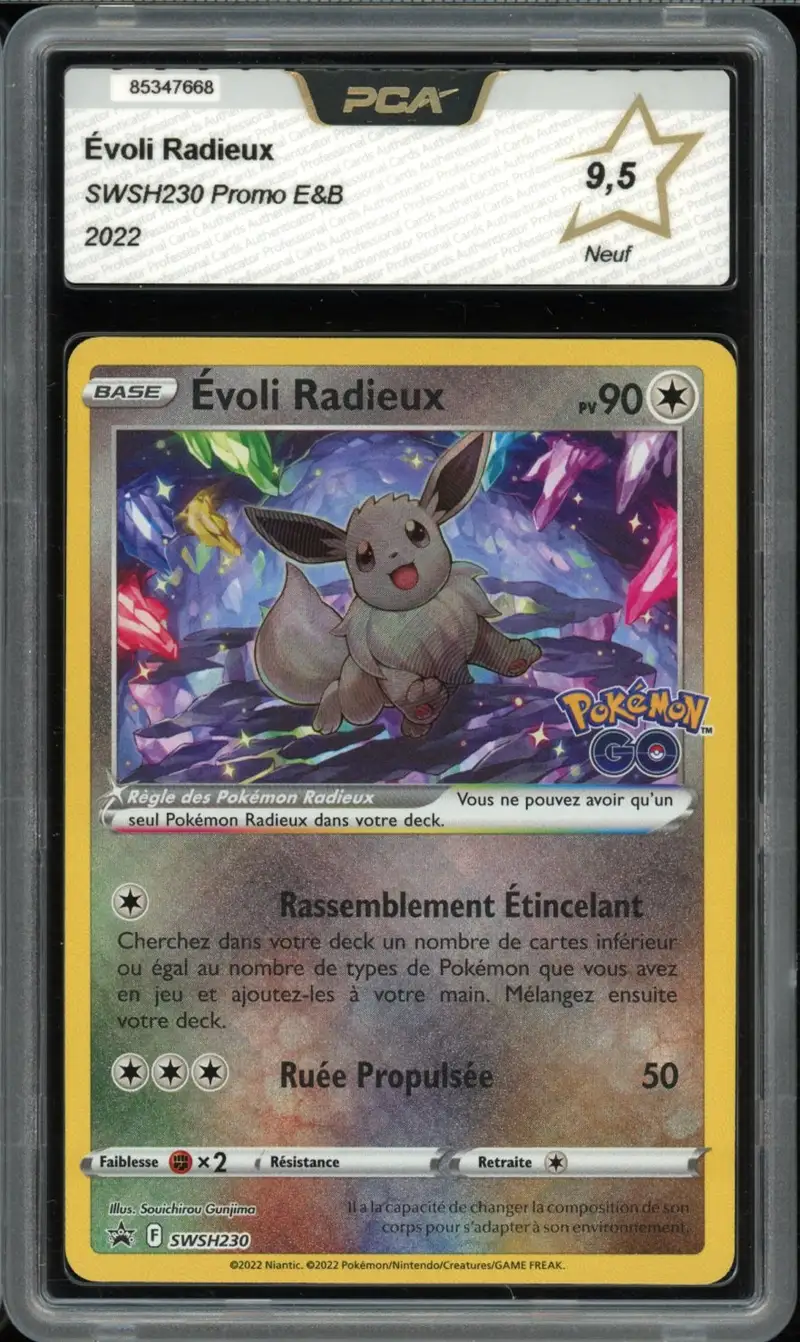 PCA 9.5 Evoli Radieux
