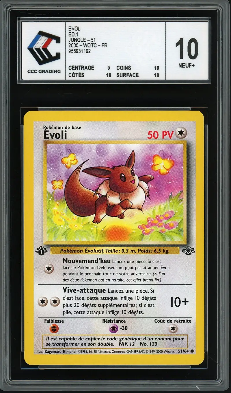 CCC 10 Evoli