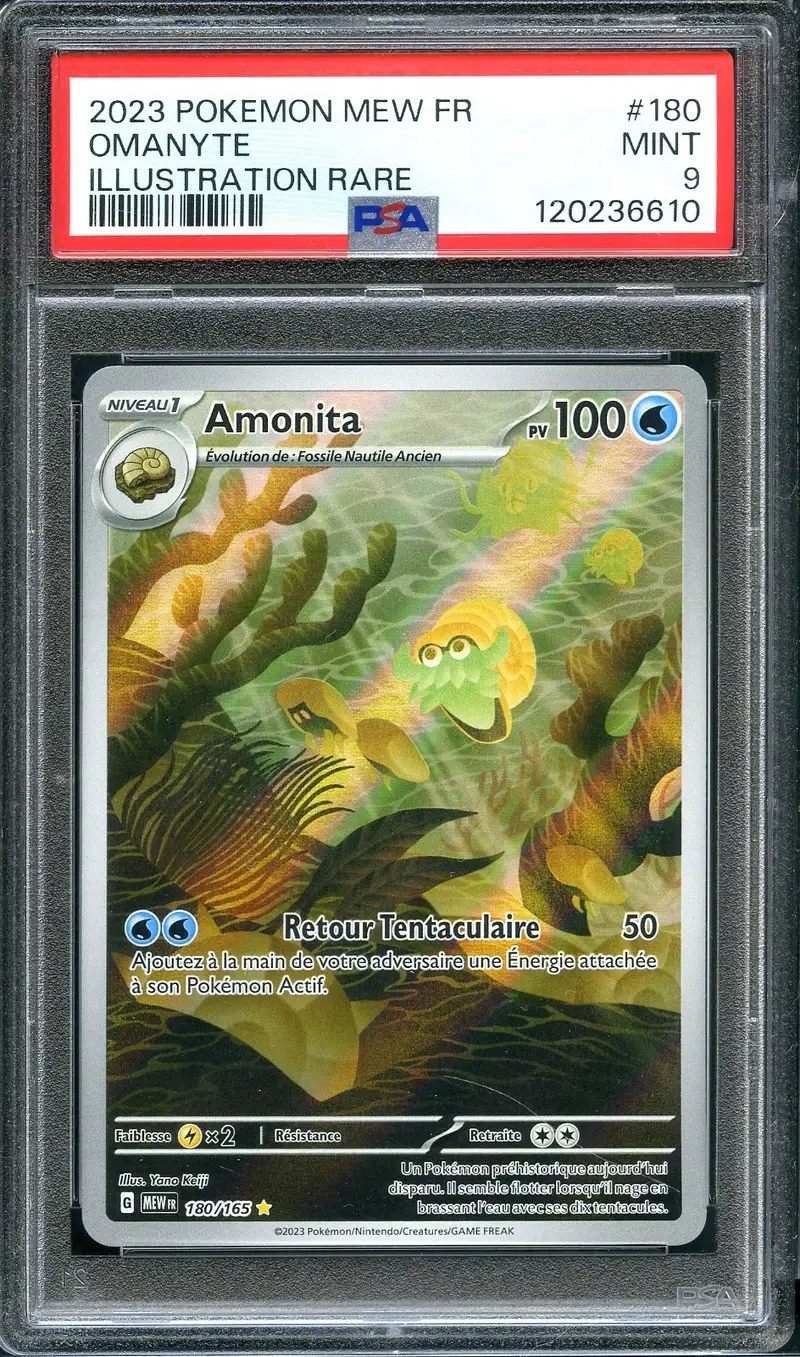 PSA 9 Amonita