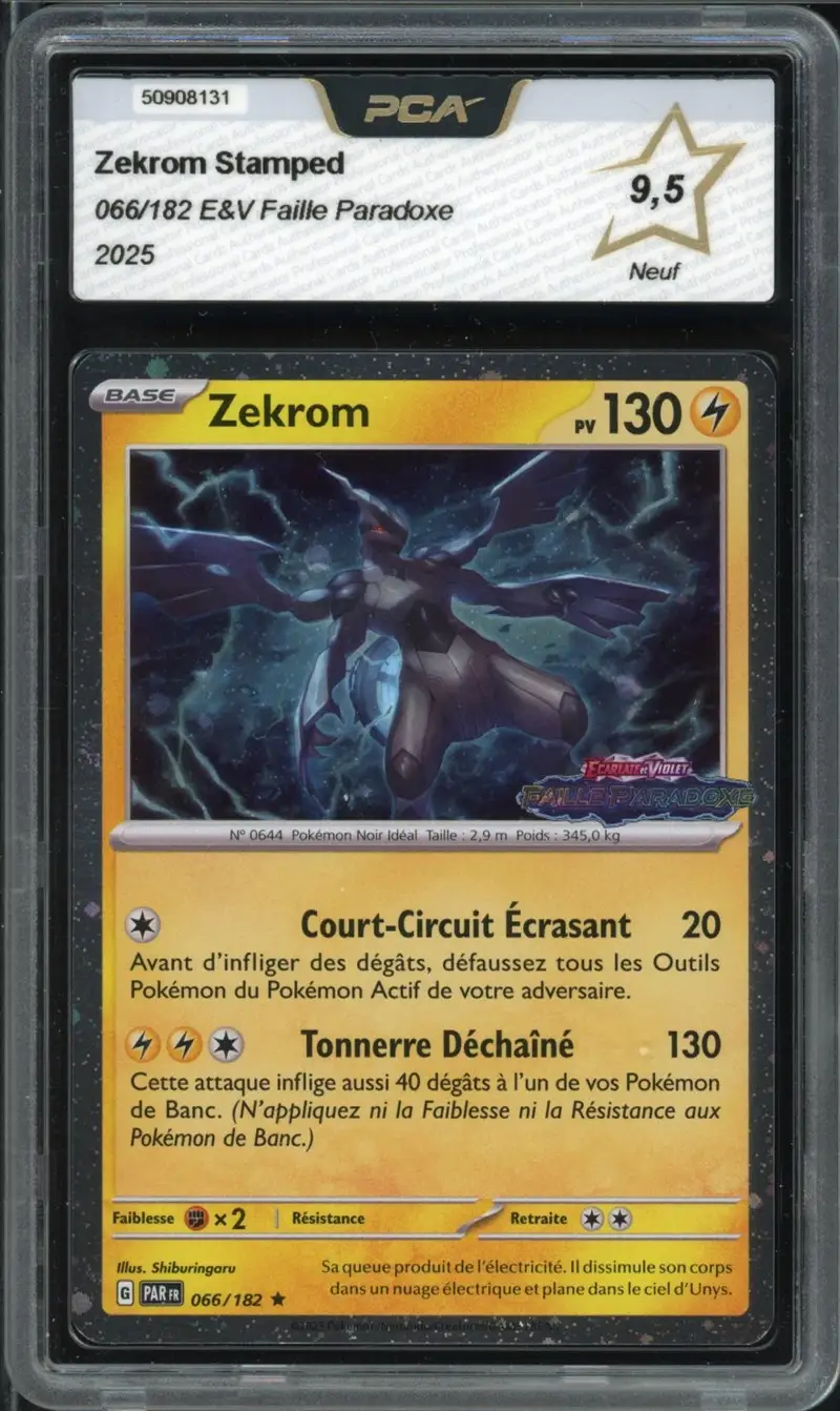 PCA 9.5 Zekrom Holo Stamp