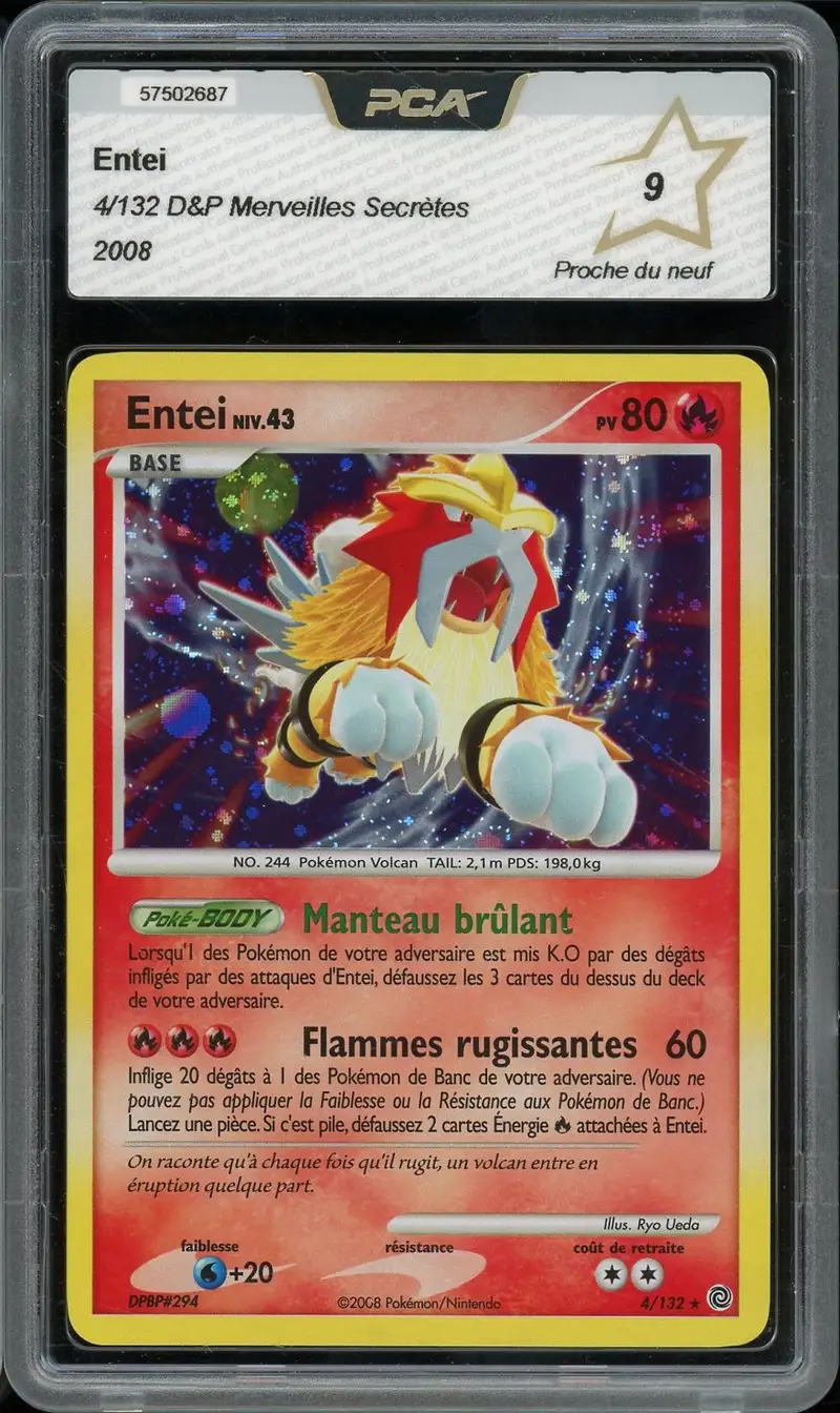 PCA 9 Entei Holo