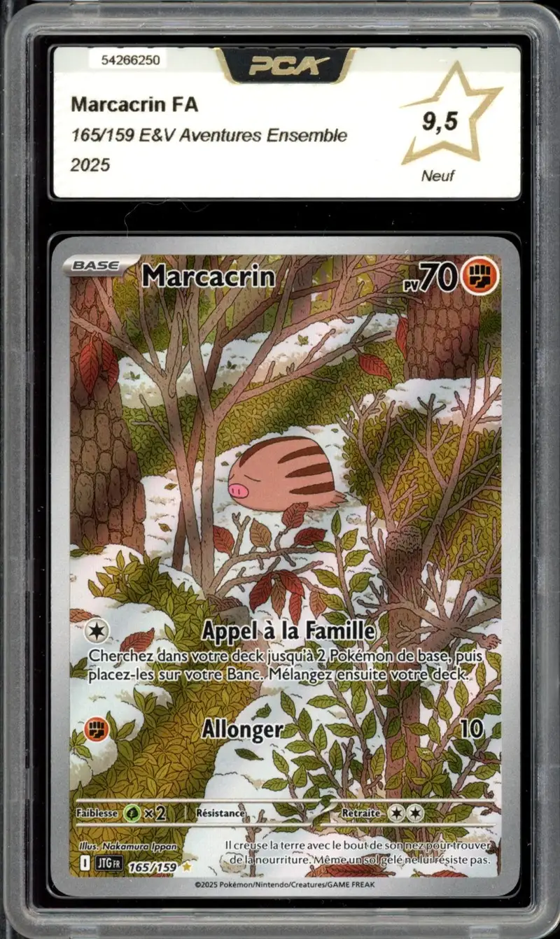 PCA 9.5 Marcacrin
