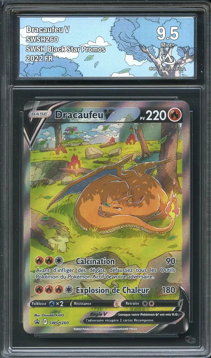 CA 9.5 Dracaufeu V