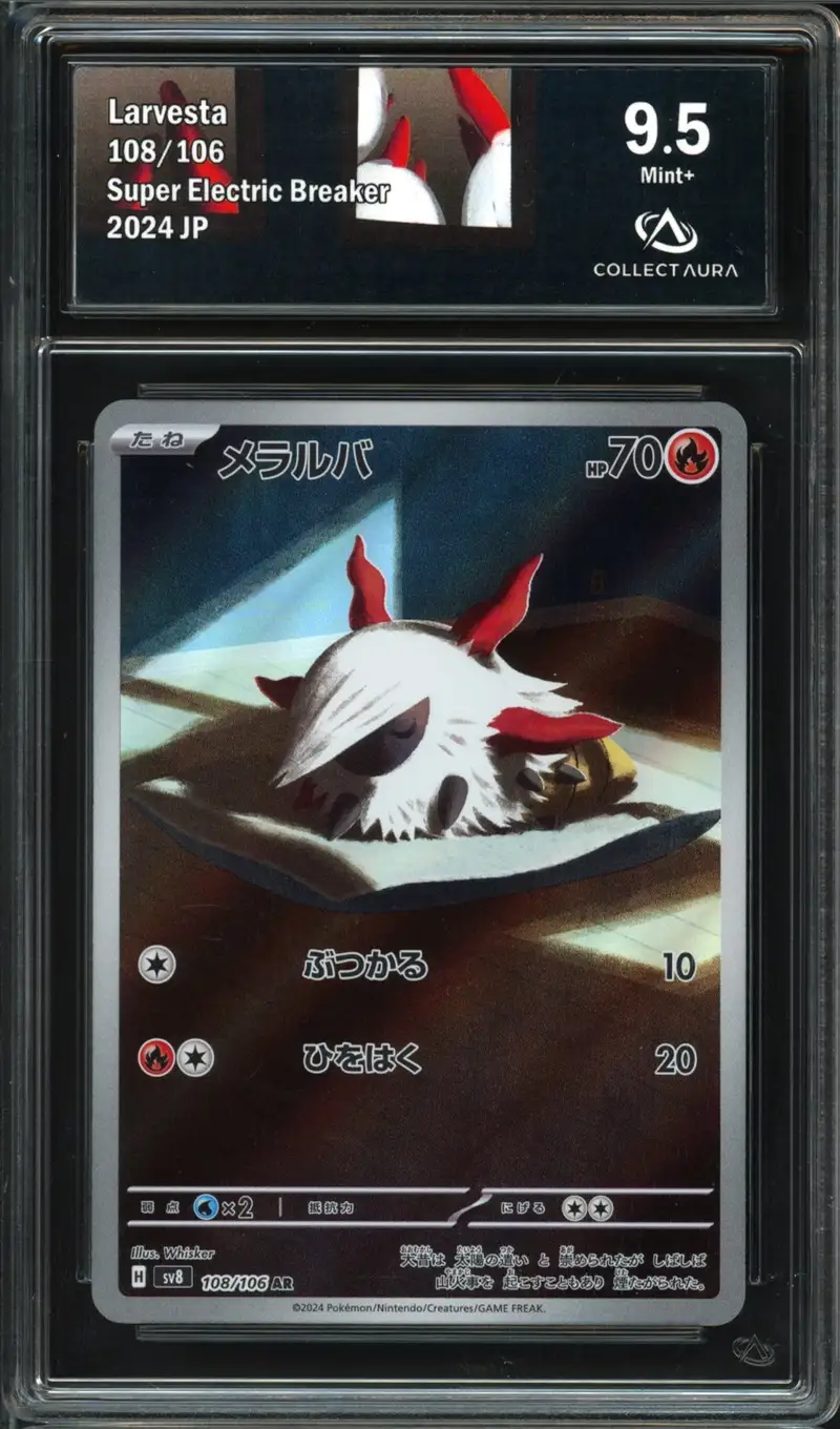 CA 9.5 Larvesta