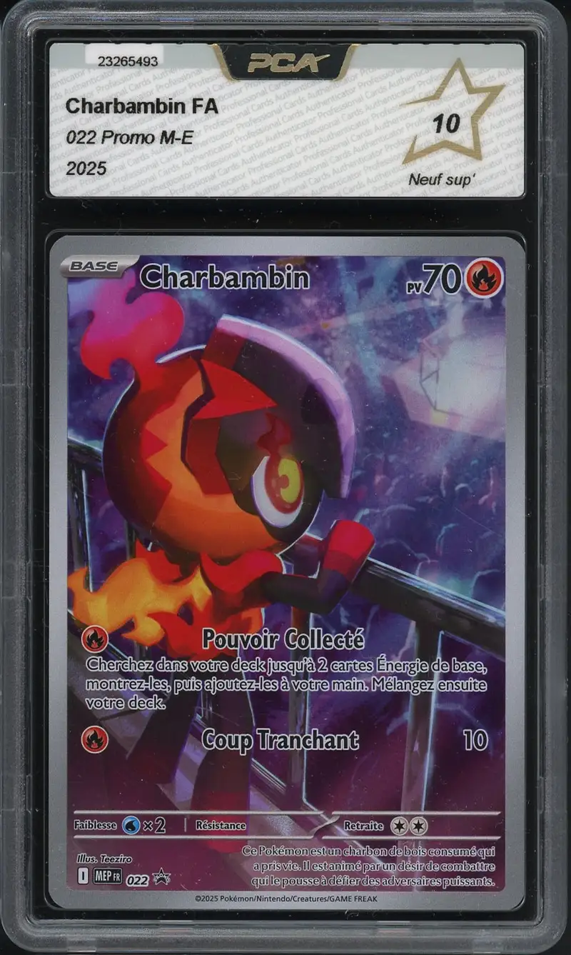 PCA 10 Charbambin