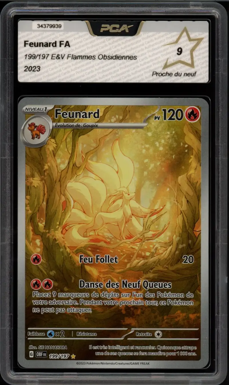 PCA 9 Feunard