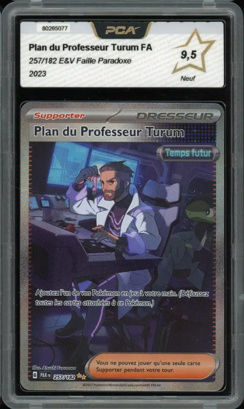 PCA 9.5 Plan du Professeur Turum