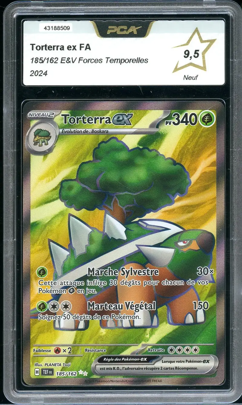 PCA 9.5 Torterra Ex