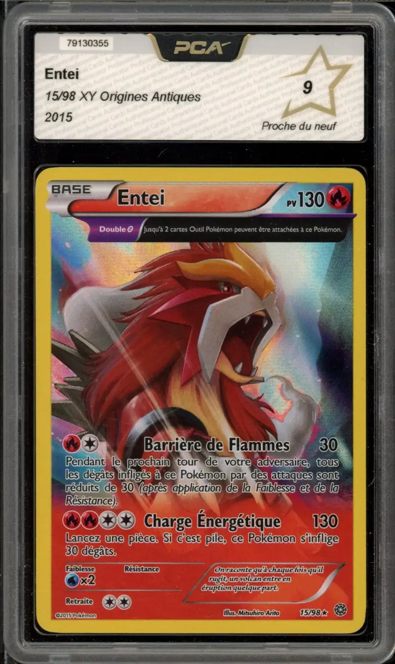 PCA 9 Entei