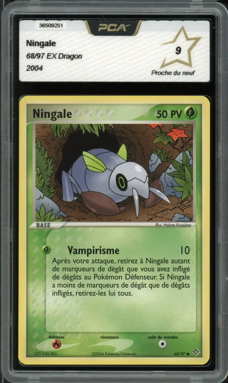PCA 9 Ningale