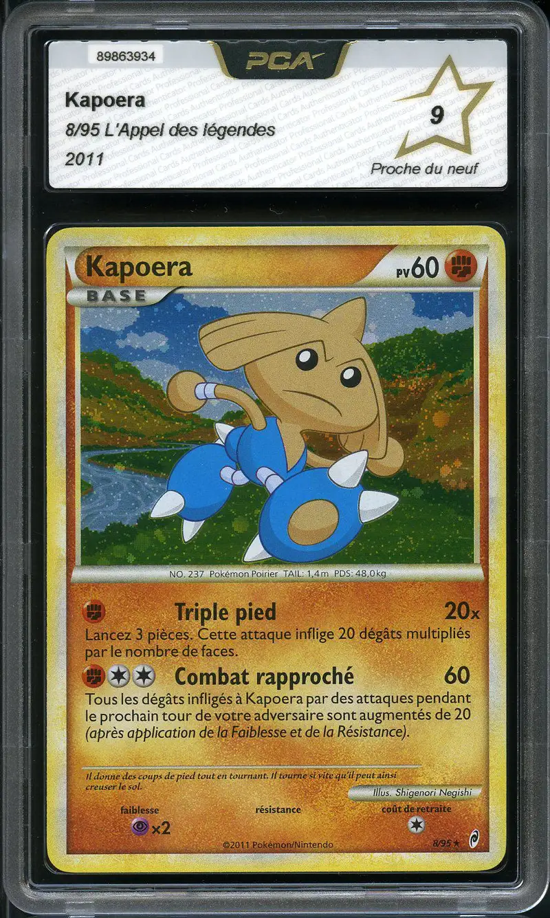 PCA 9 Kapoera Holo
