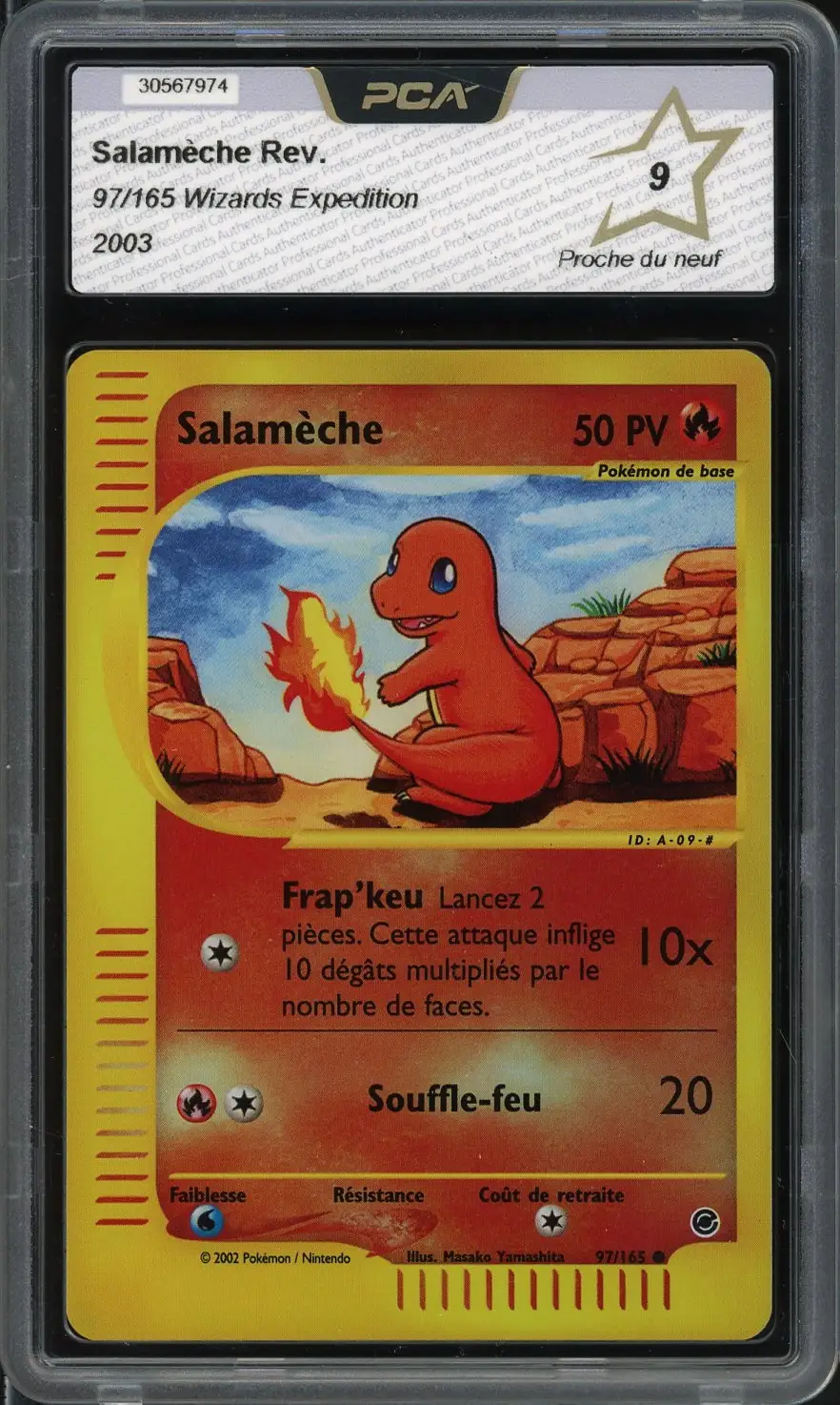 PCA 9 Salamèche Reverse