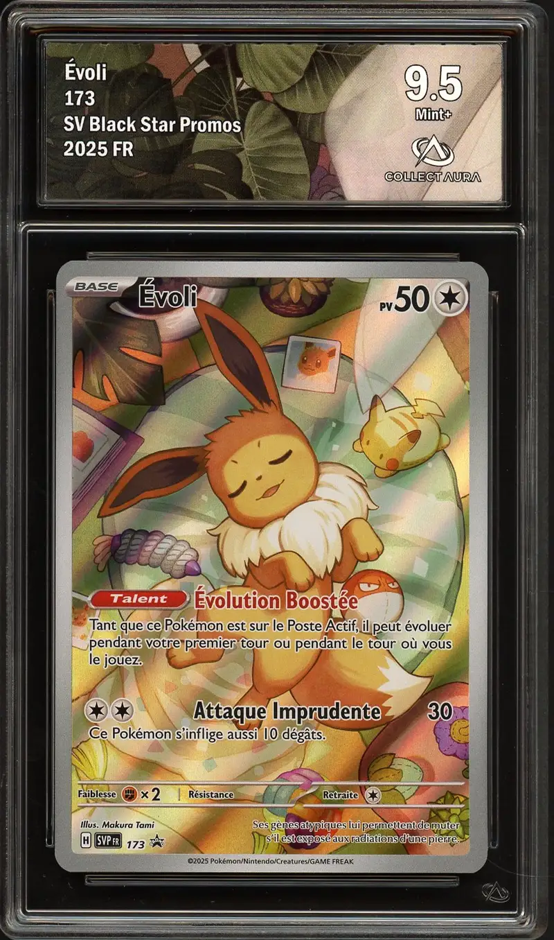 CA 9.5 Evoli