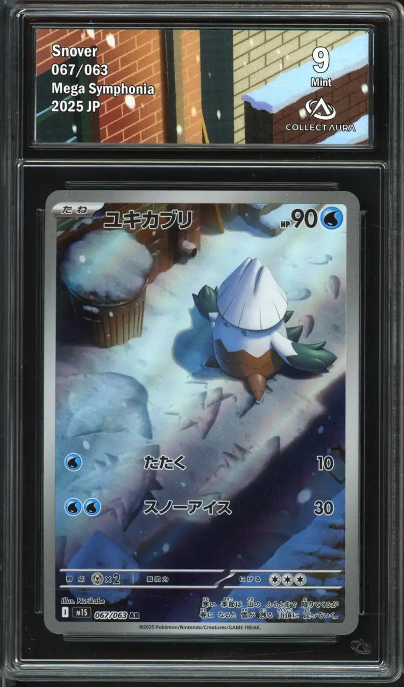 CA 9 Snover