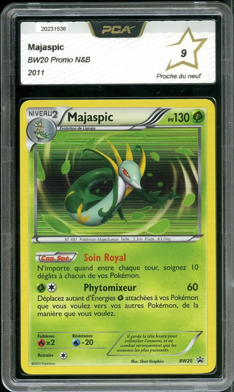 PCA 9 Majaspic Holo