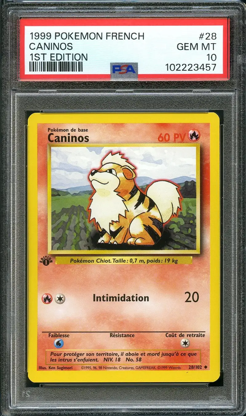 PSA 10 Caninos