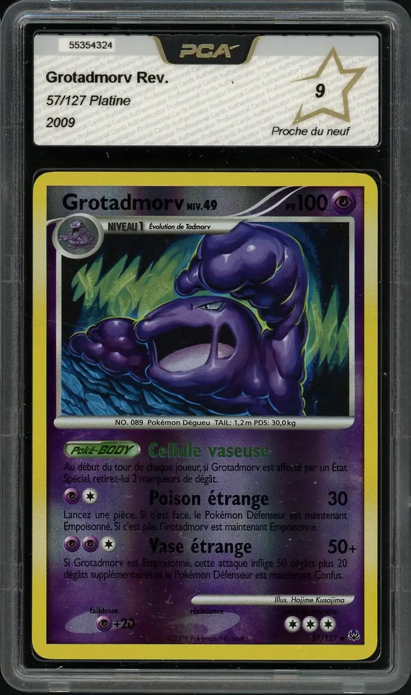 PCA 9 Grotadmorv Reverse