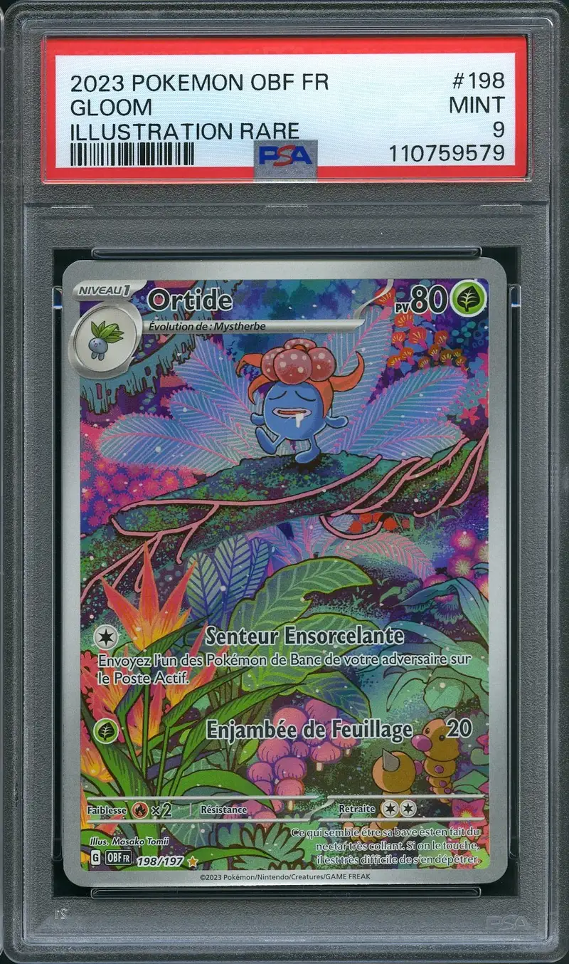 PSA 9 Ortide